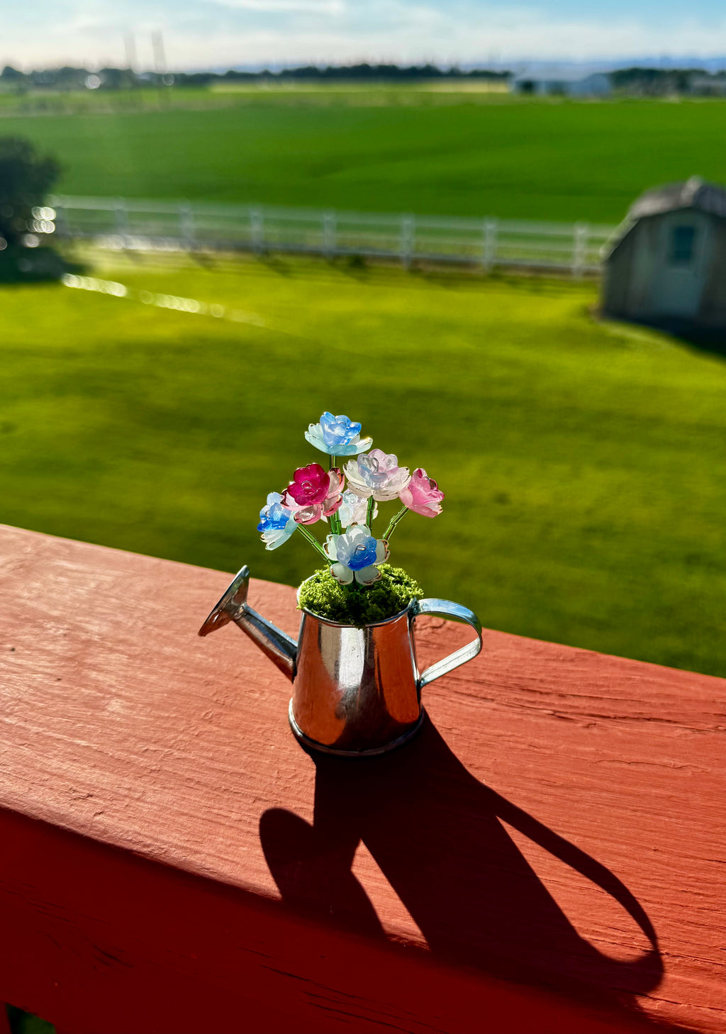 Handmade Mini Watering Can Forever Plant