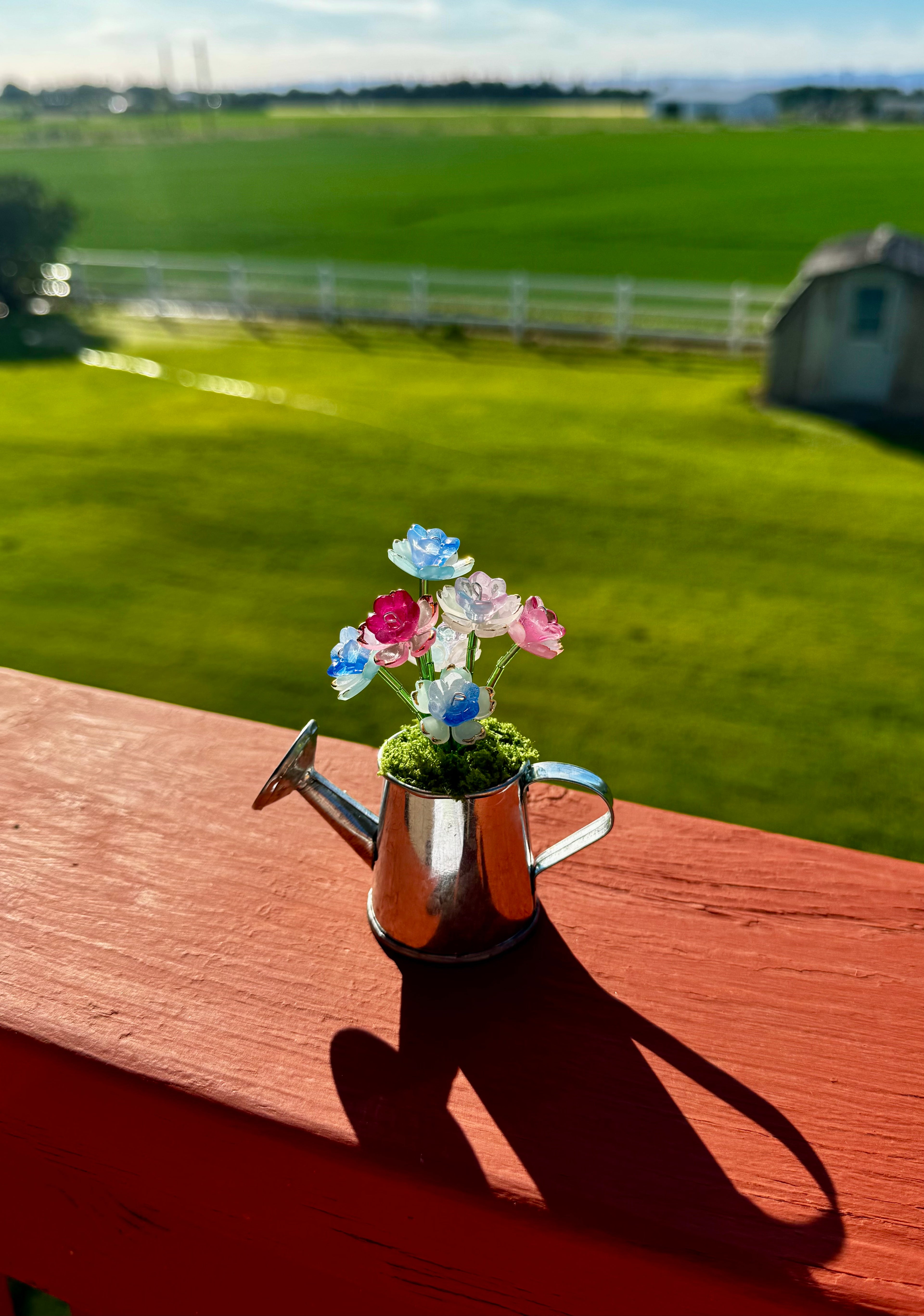 Handmade Mini Watering Can Forever Plant