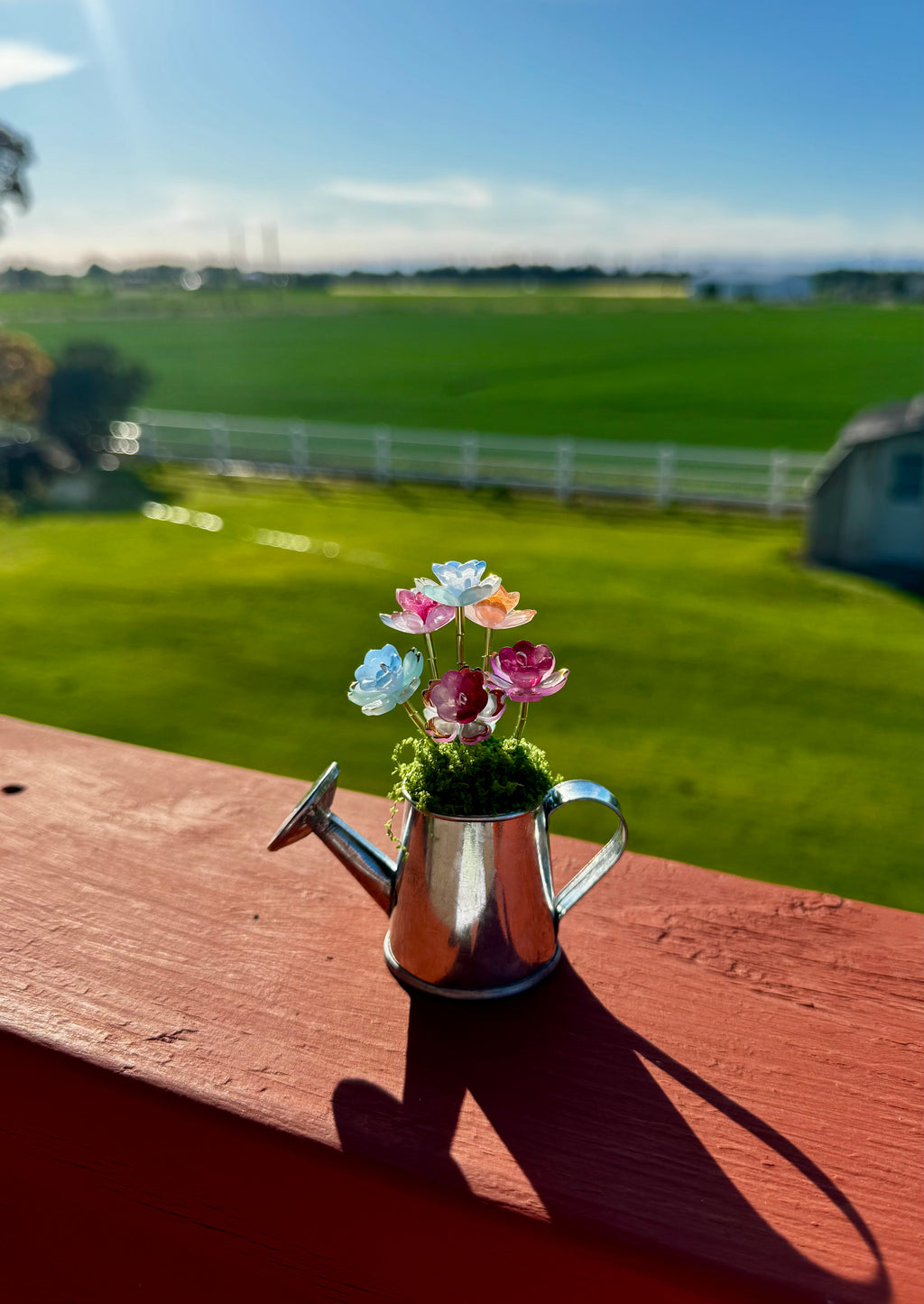 Handmade Mini Watering Can Forever Plant