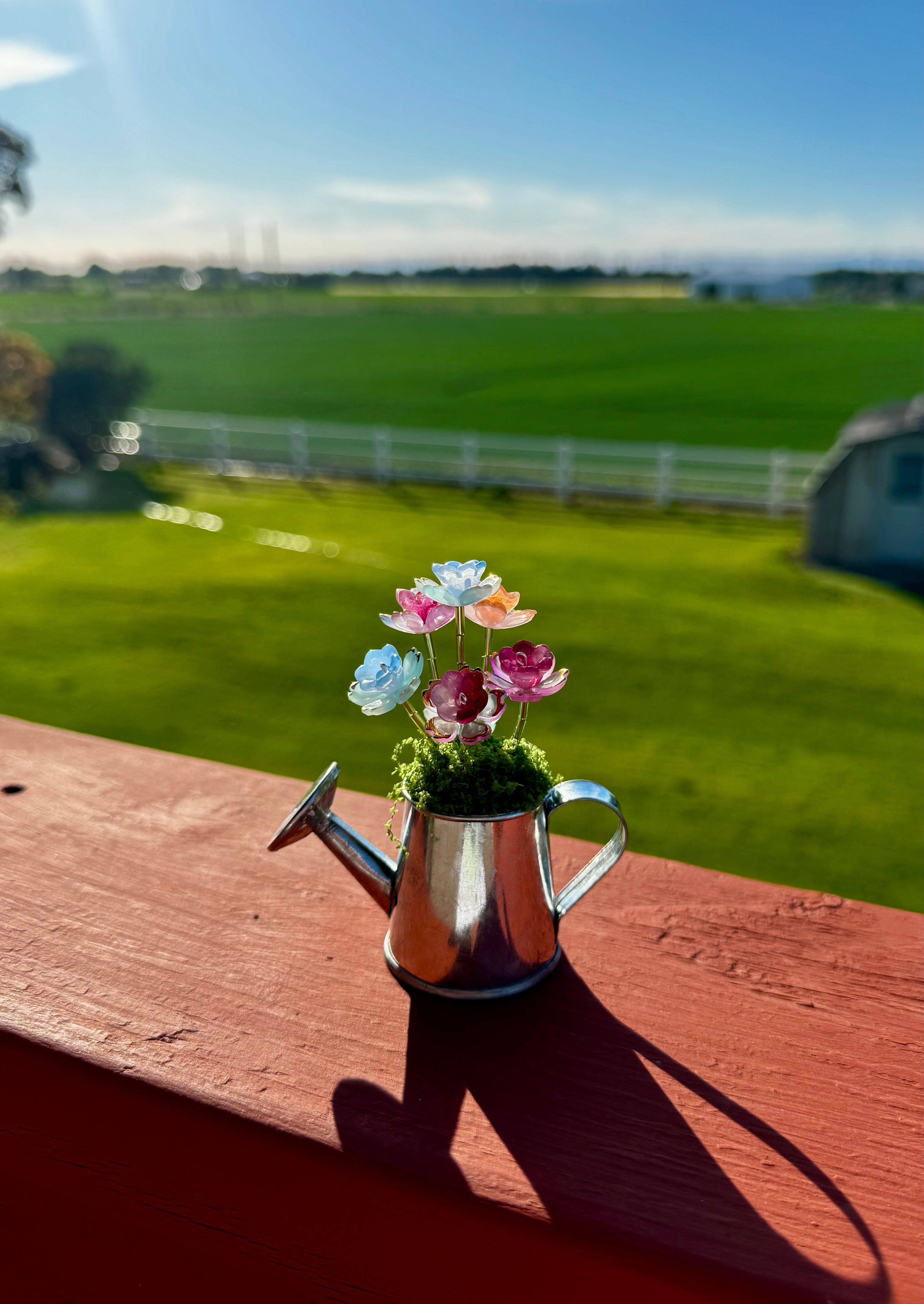 Handmade Mini Watering Can Forever Plant