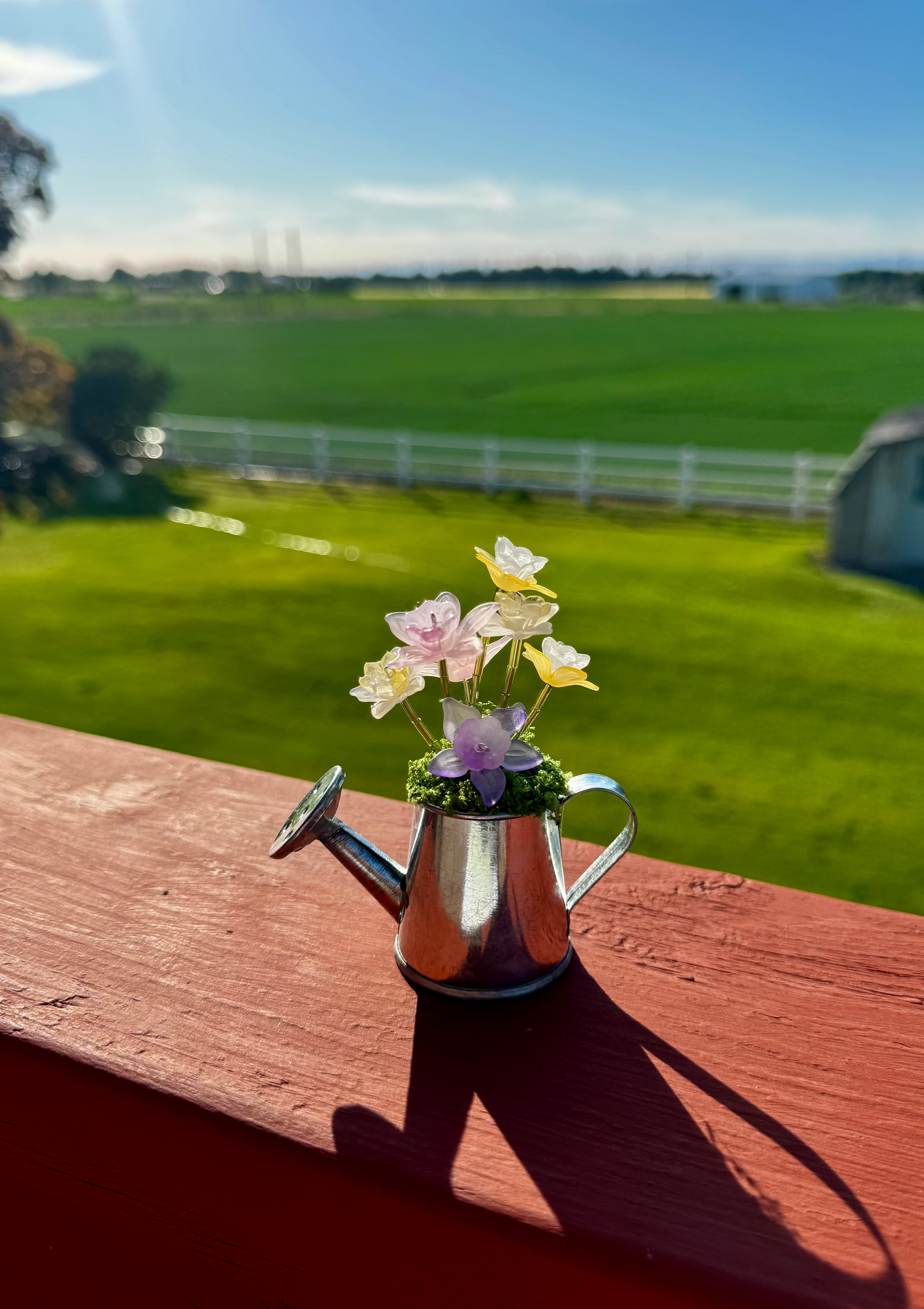 Handmade Mini Watering Can Forever Plant