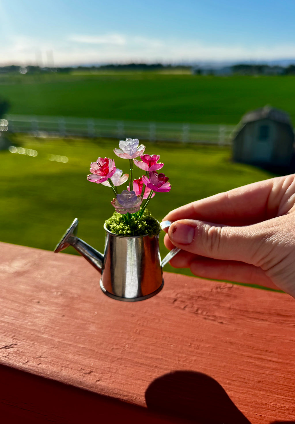 Handmade Mini Watering Can Forever Plant