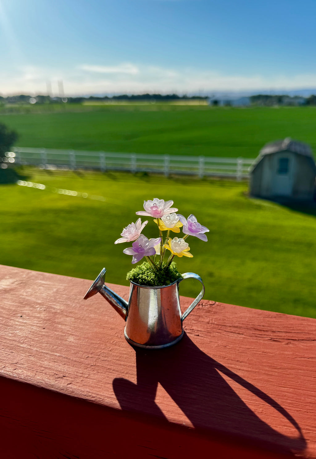 Handmade Mini Watering Can Forever Plant
