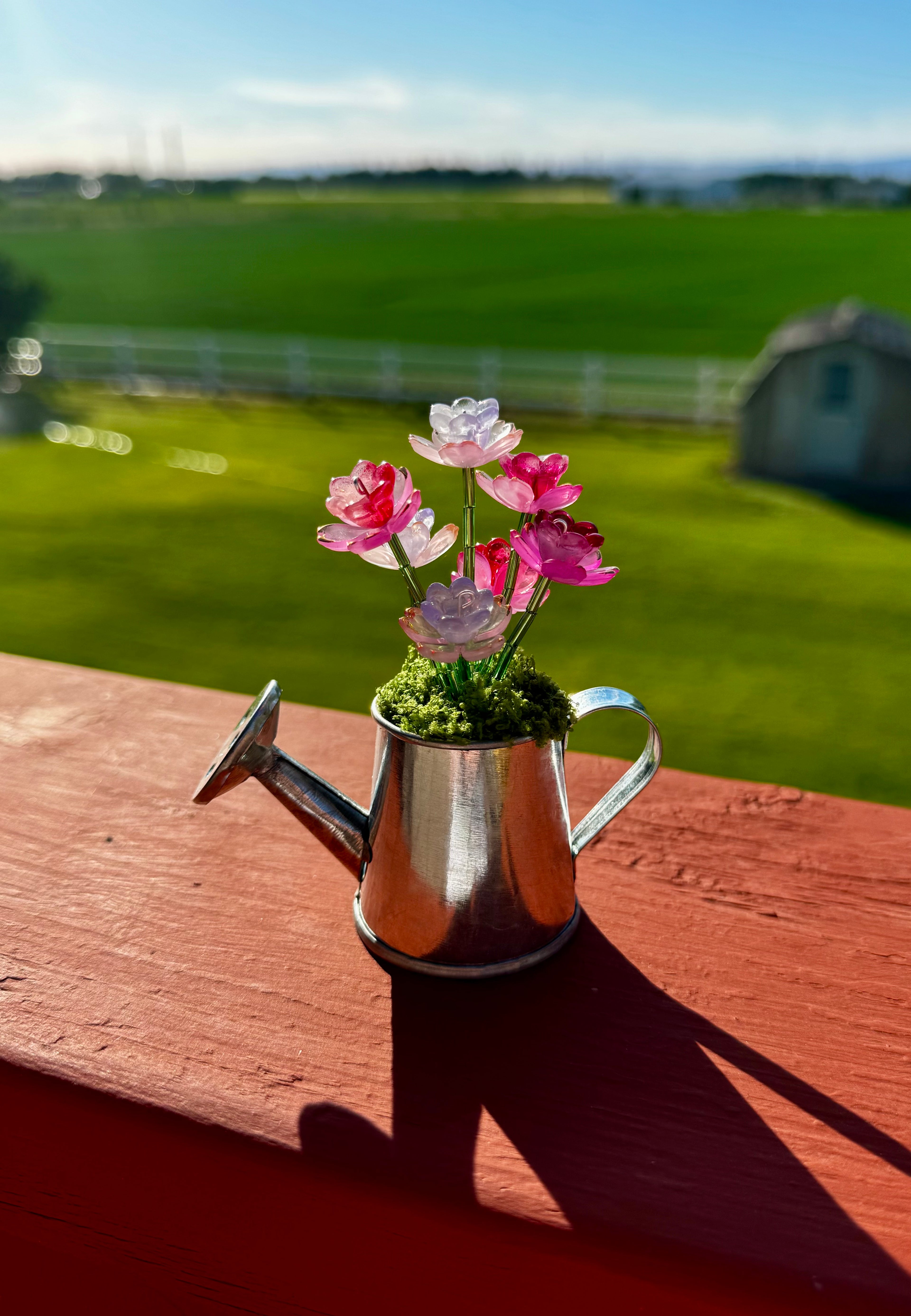 Handmade Mini Watering Can Forever Plant