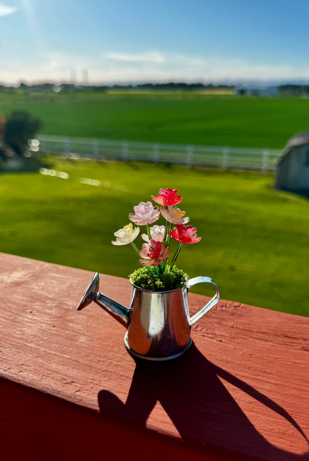 Handmade Mini Watering Can Forever Plant