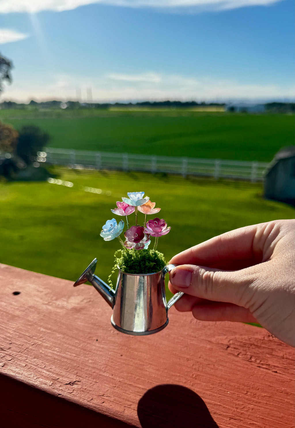 Handmade Mini Watering Can Forever Plant