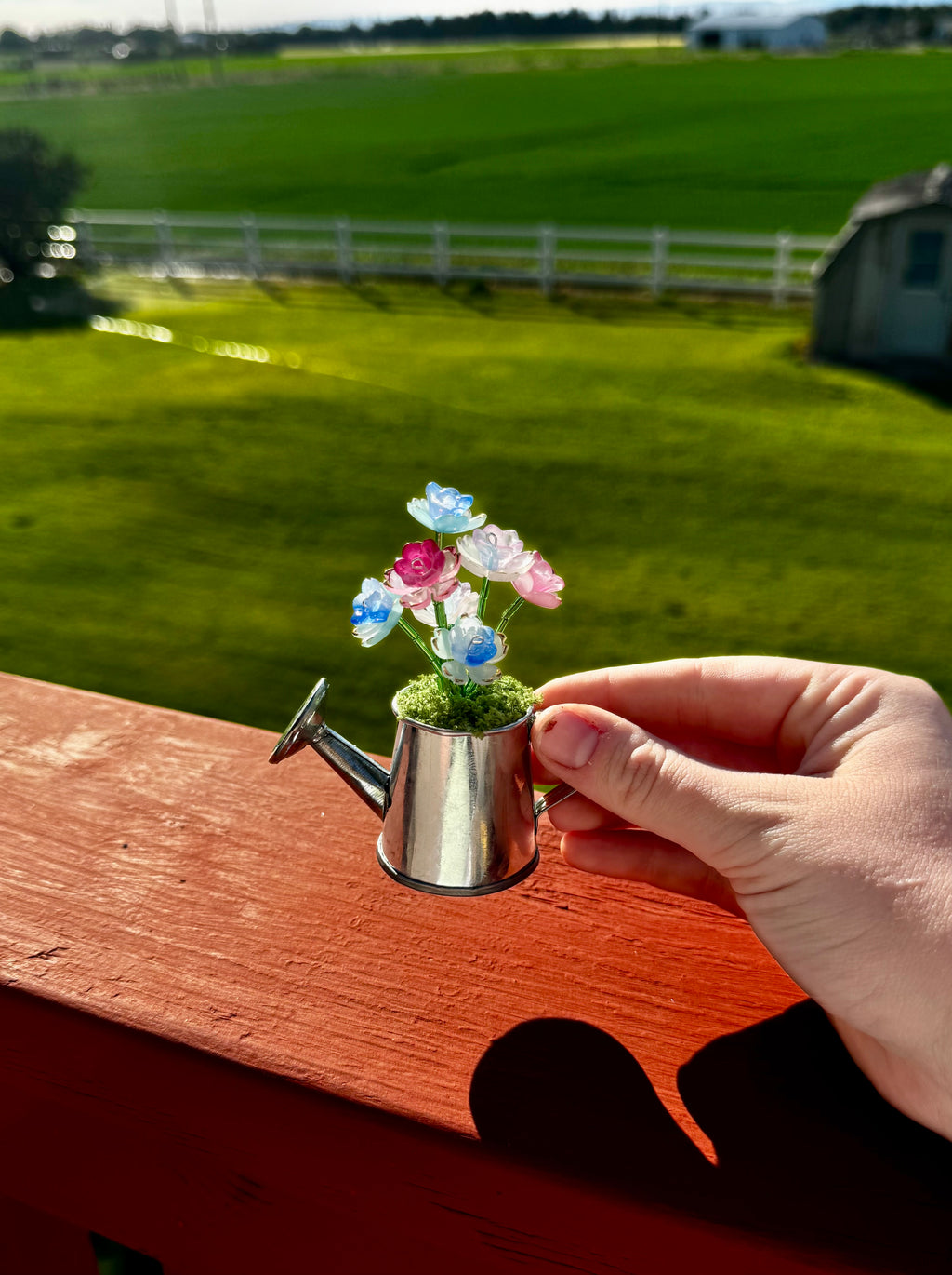 Handmade Mini Watering Can Forever Plant