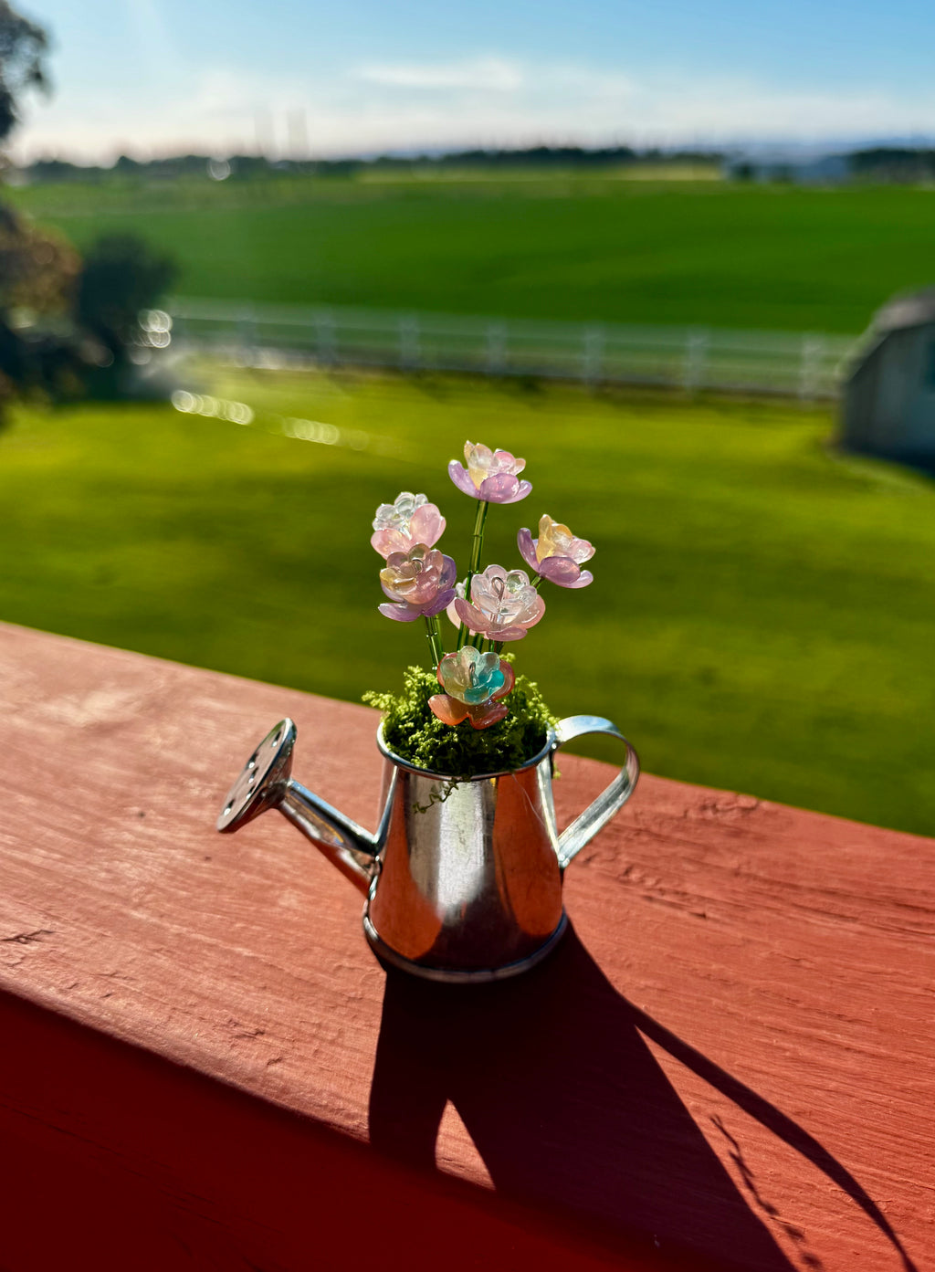 Handmade Mini Watering Can Forever Plant