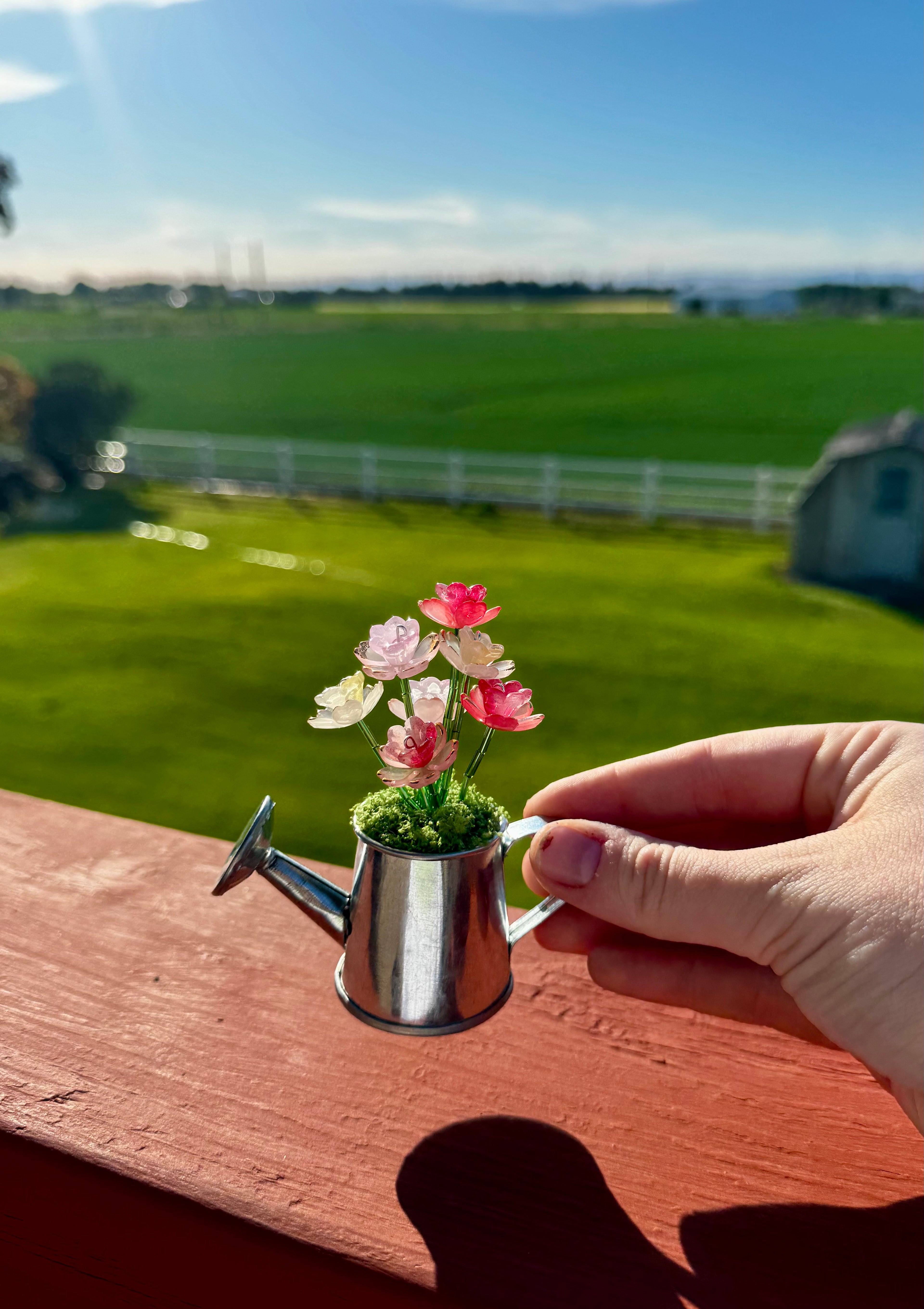 Handmade Mini Watering Can Forever Plant