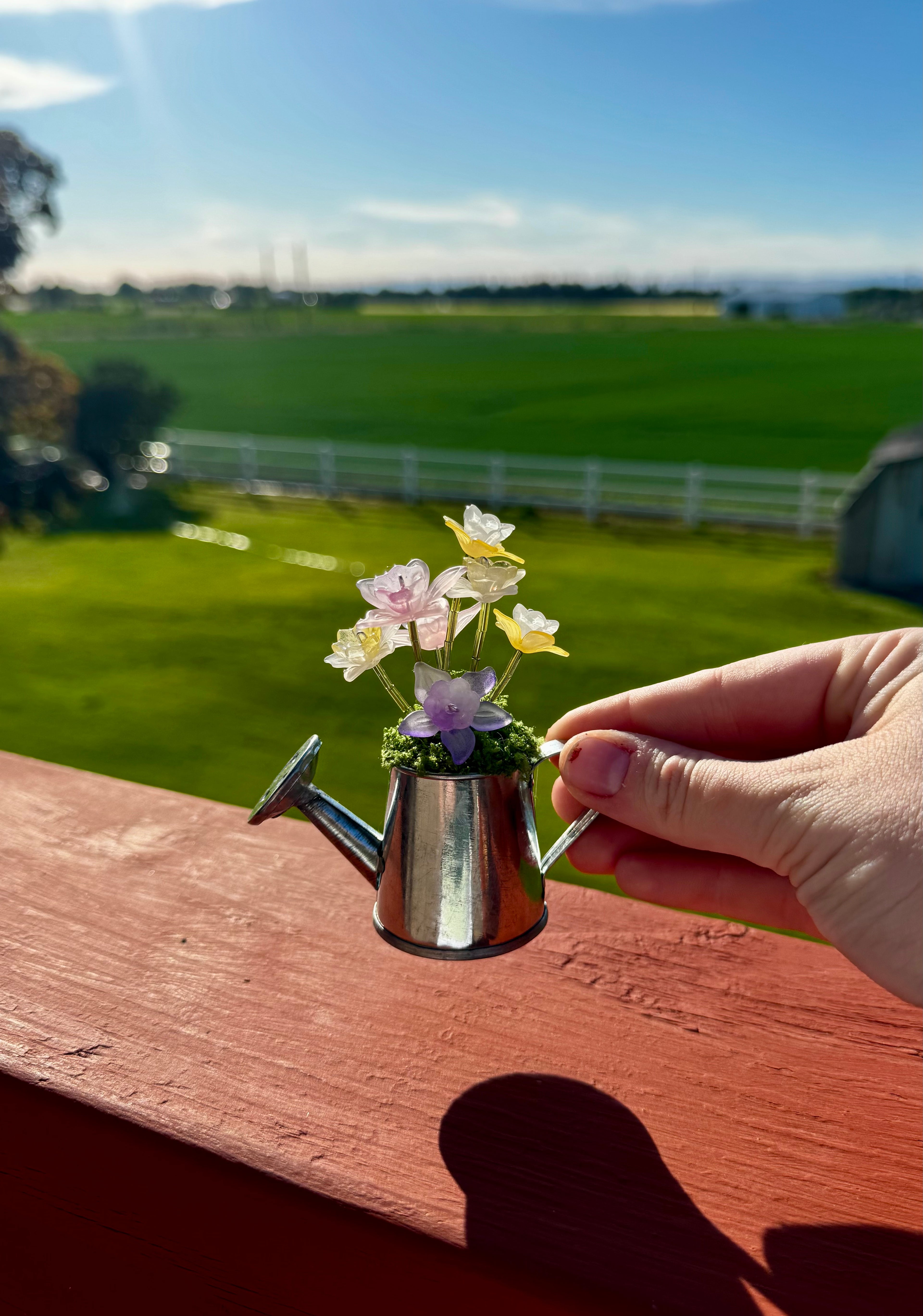 Handmade Mini Watering Can Forever Plant