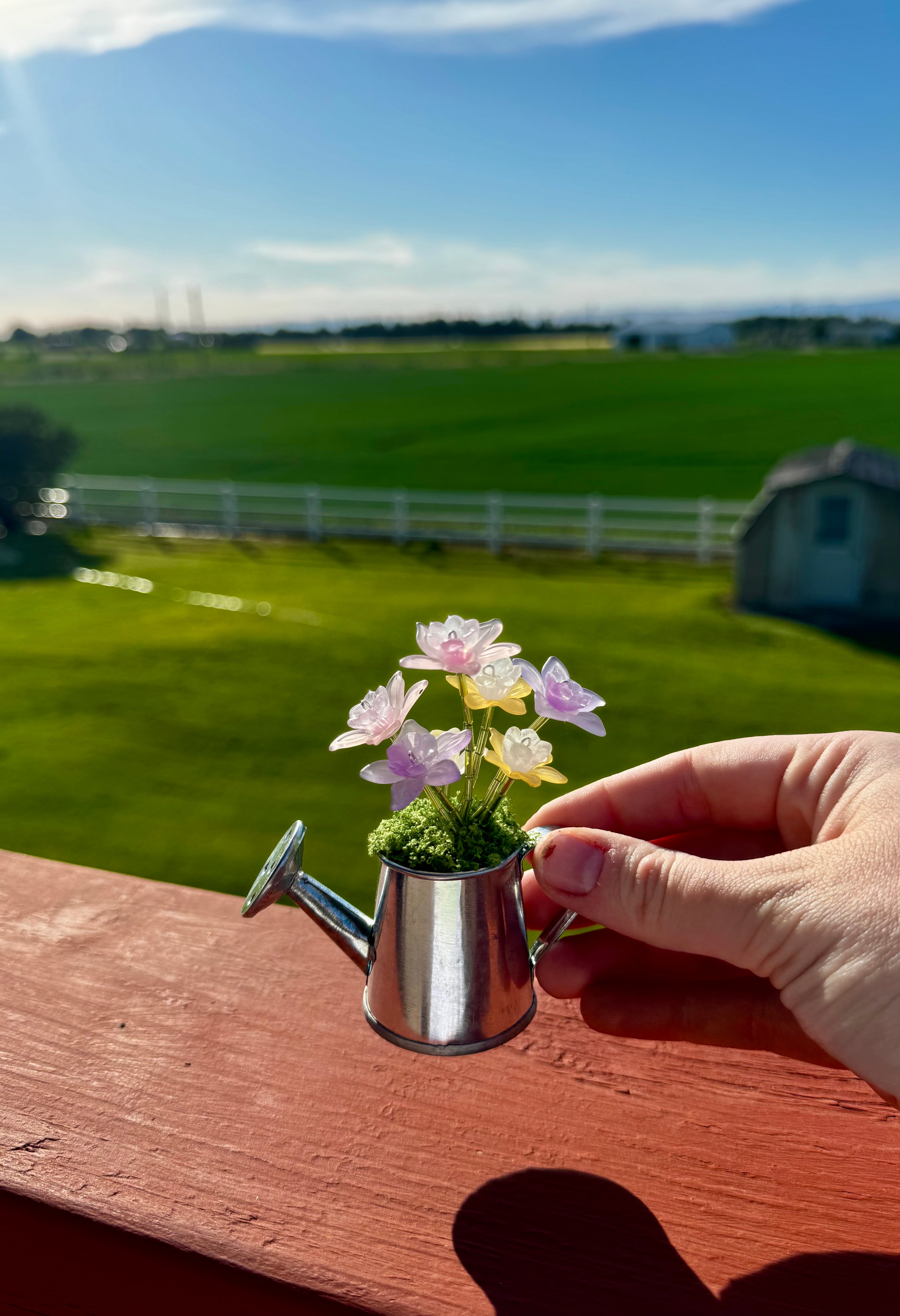 Handmade Mini Watering Can Forever Plant